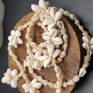 Dream Crafters shell opportunity all‎ natural seashell conch and cowrie bushel